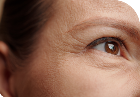 Improves Skin Hydration