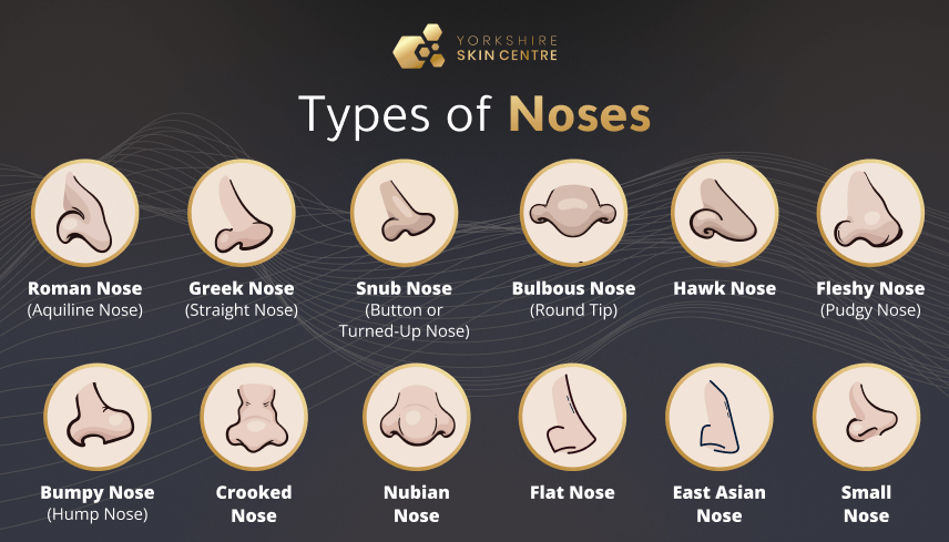 12 Different Types of Noses – Shapes & Treatment Options Explained